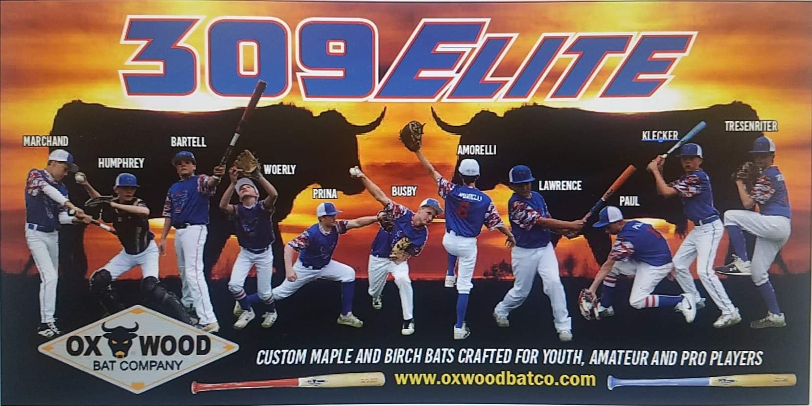 Ox wood bat company Clearance